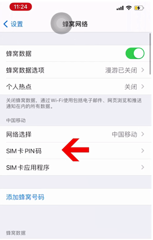 清河苹果14维修网分享如何给iPhone14的SIM卡设置密码 