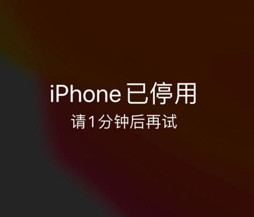 清河苹果手机维修分享:iPhone 显示“不可用”或“已停用”怎么办？还能保留数据吗？ 