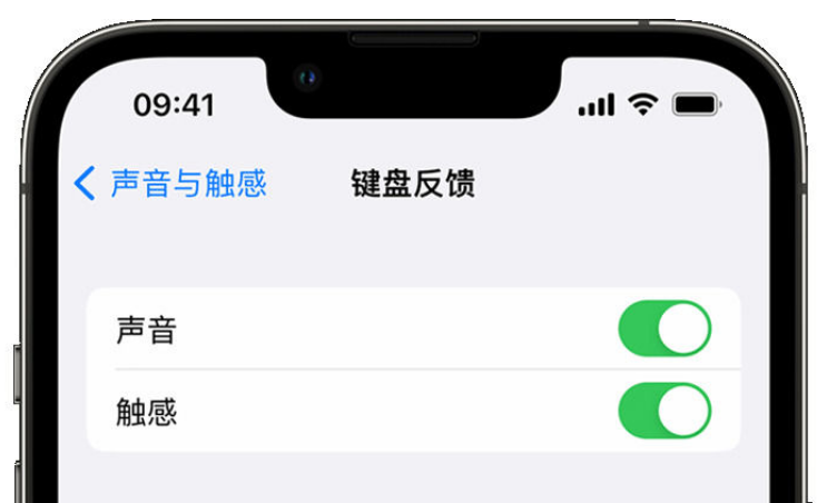 清河苹果手机维修分享iPhone 14触感键盘使用方法 