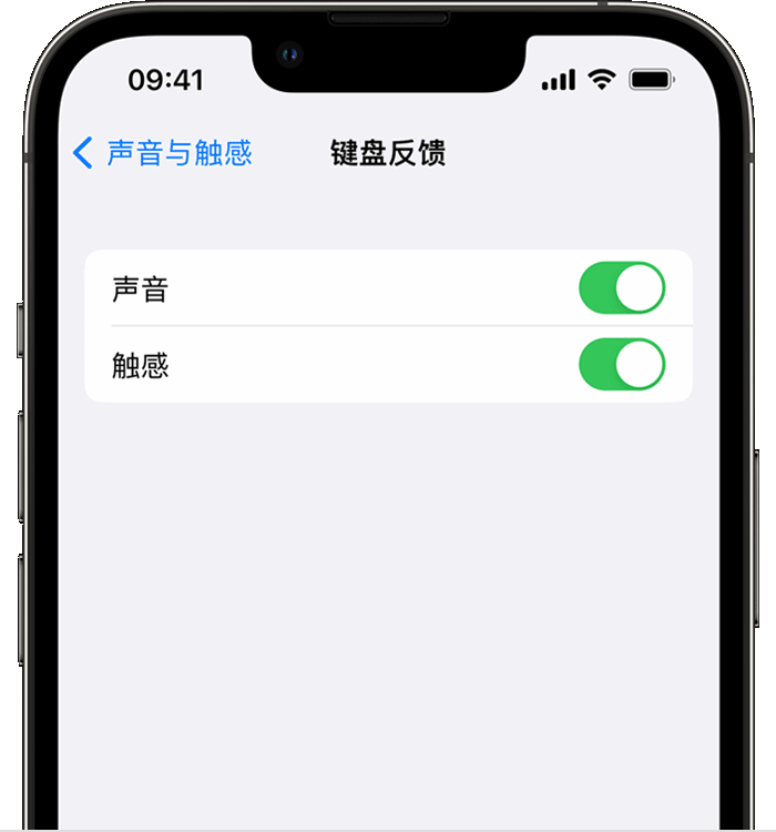 清河苹果14维修店分享如何在 iPhone 14 机型中使用触感键盘 