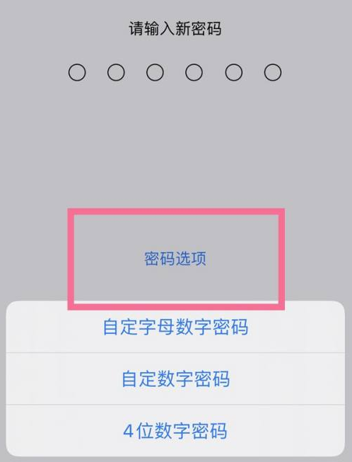 清河苹果14维修分享iPhone 14plus设置密码的方法 