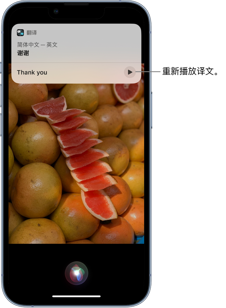 清河苹果14维修分享 iPhone 14 机型中使用 Siri：了解 Siri 能帮你做什么 