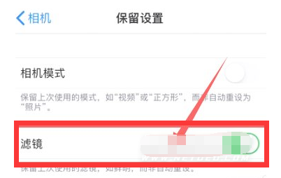 清河苹果13维修分享iPhone13拍照有绿点是怎么回事 