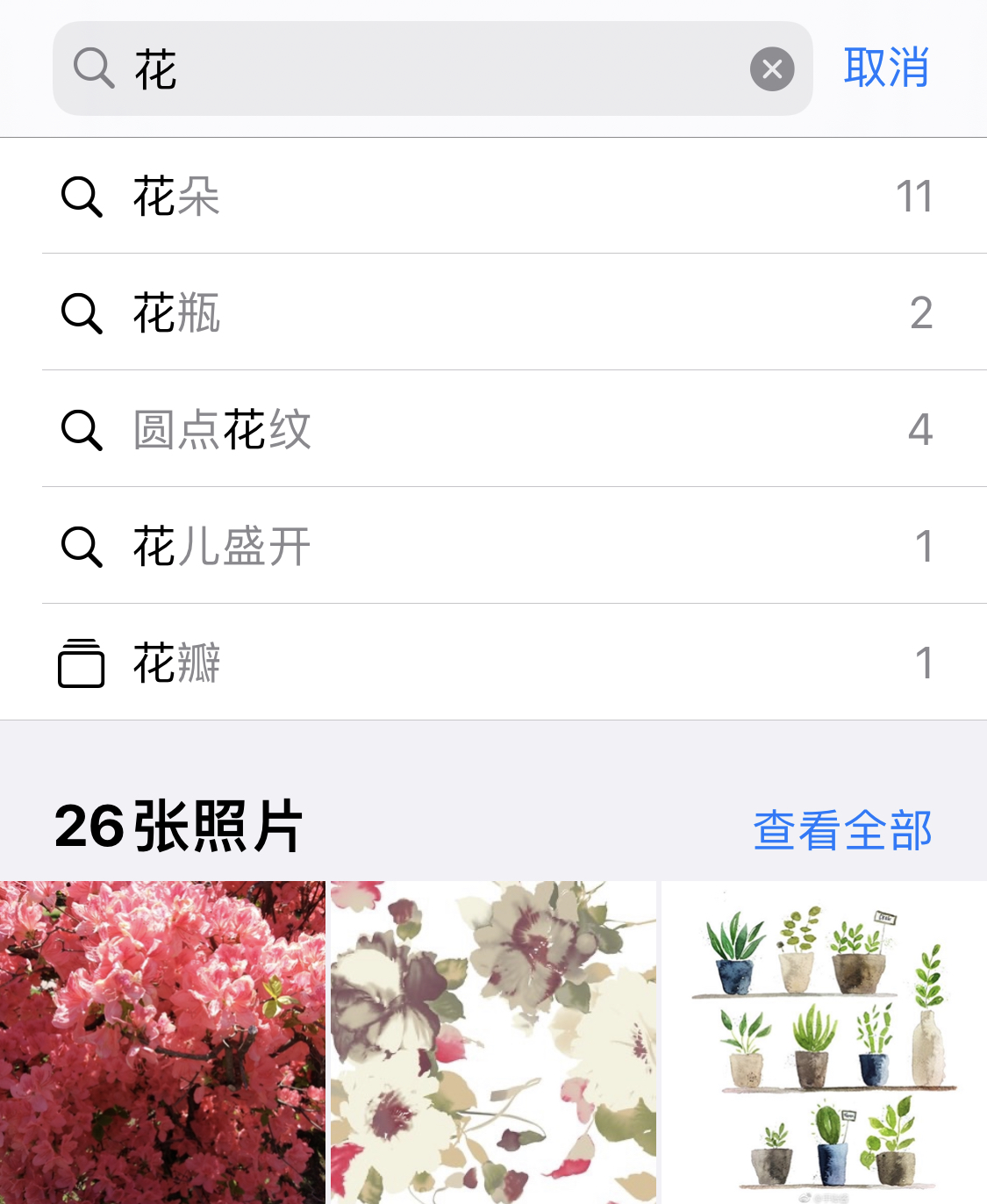 清河苹果手机维修分享iPhone 小技巧 